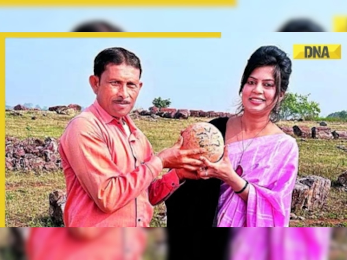  ‘Stone balls’ worshipped as ‘kuldevta’ in Madhya Pradesh turn out to be fossilised dinosaur eggs