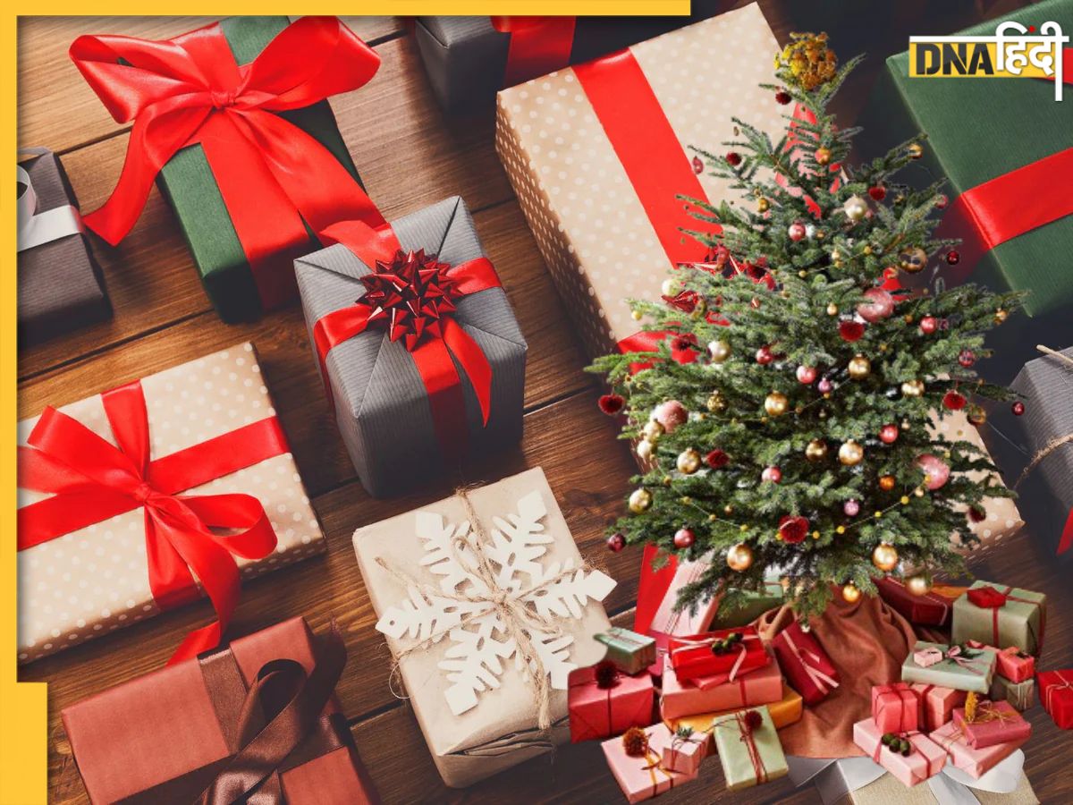 7114213 Christmas 2023 Gift Ideas 