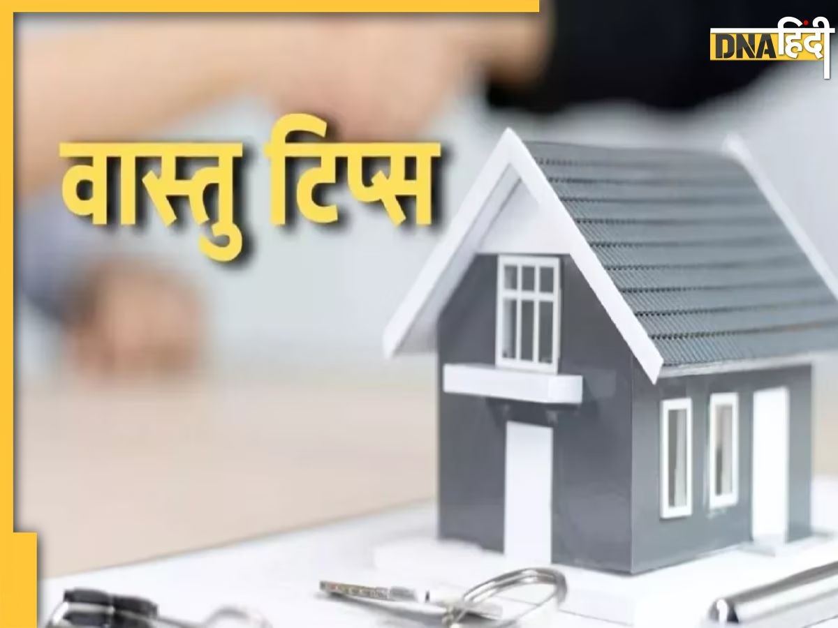 Vastu Tips 2024: नये साल पर घर लें आए ये चीज, पहले ही दिन से बढ़ जाएगी कमाई, आपकी तरफ आकर्षित होगा पैसा