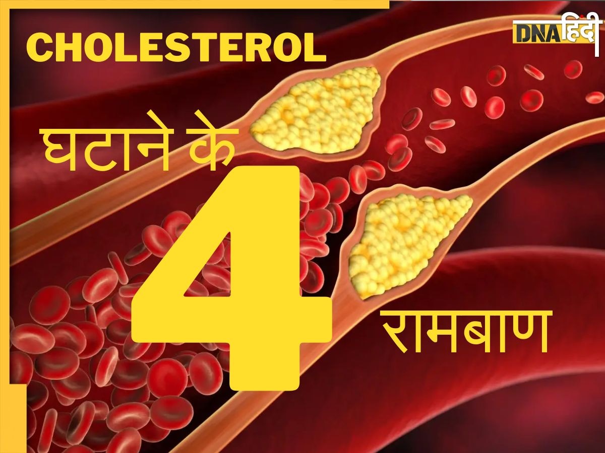 कोलेस्ट्रॉल घटाने के रामबाण हैं ये 4 घरेलू नुस्खे, एकबार आजमा कर तो देखें