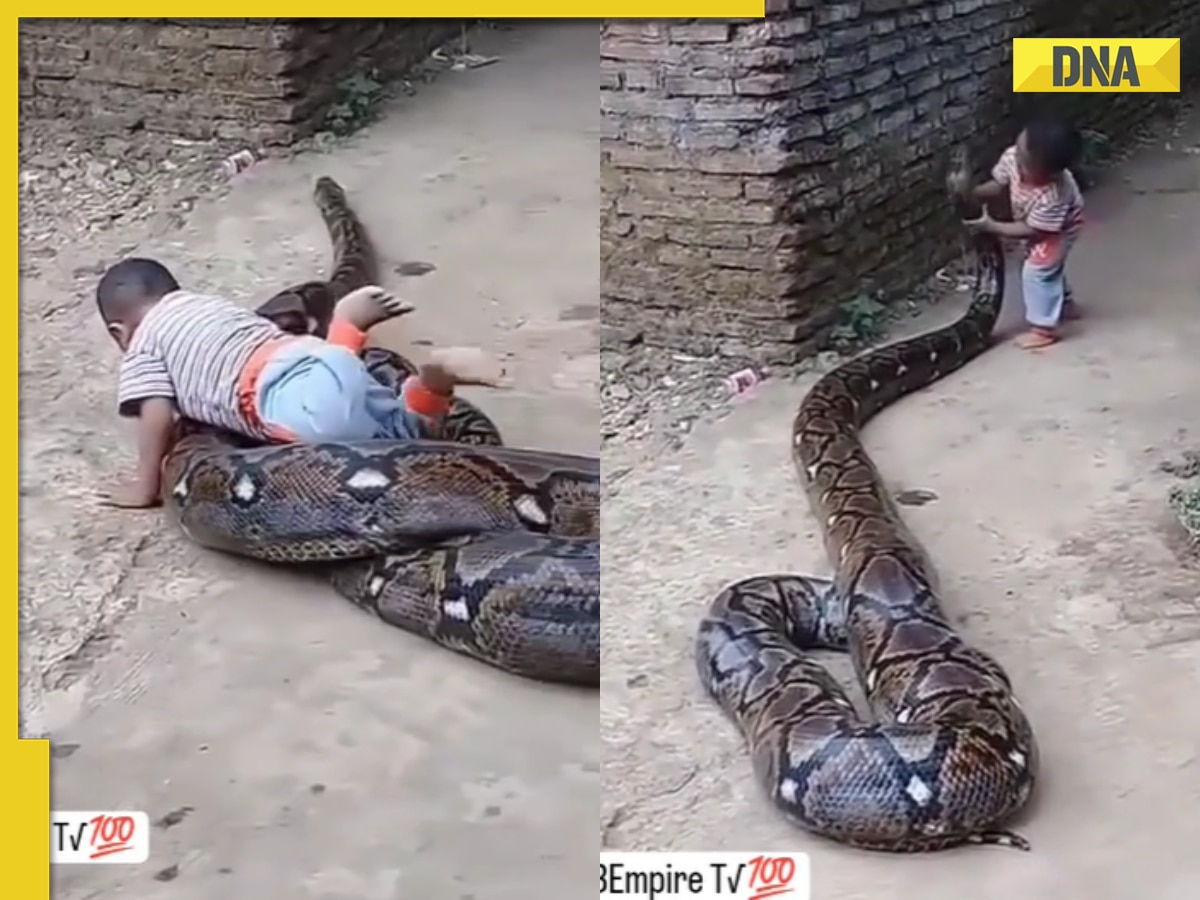 Little boy takes scary ride on massive python, viral video terrifies internet