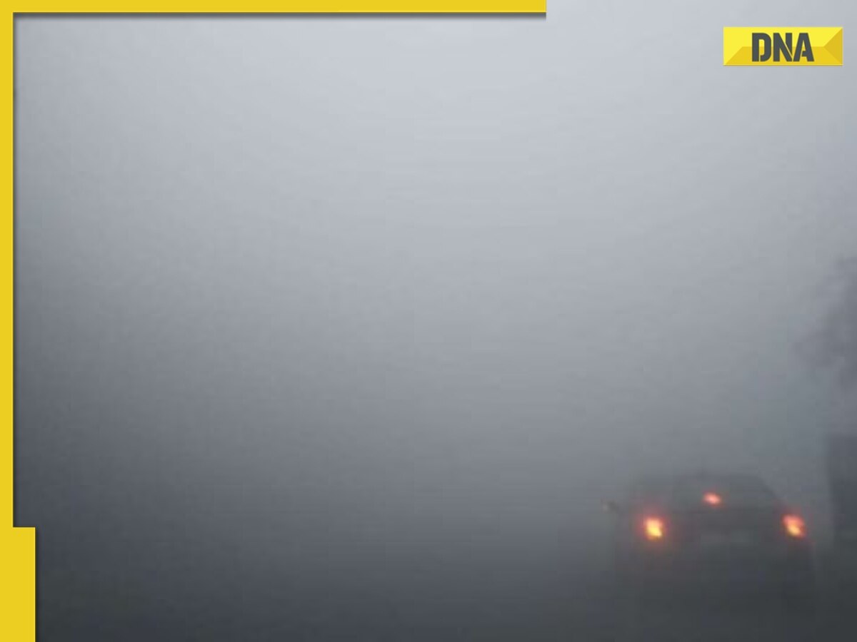 Delhi-NCR news: Dense fog leads to reduced visibility in national ...