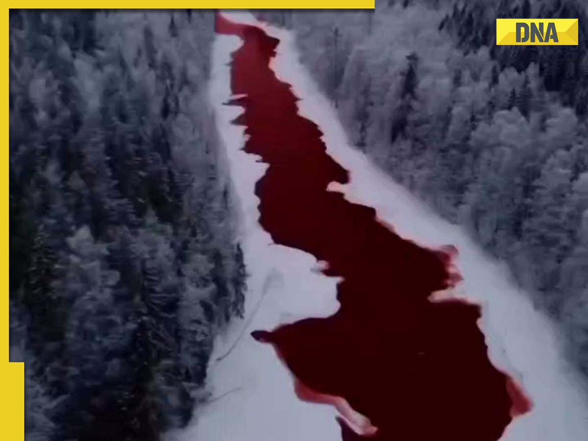 Russia's Iskitimka river turns beetroot red, here's why