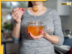Honey Side Effects: इन 5 लोगों के लिए खतरनाक साबित होगा शहद का सेवन, सेहत पर पड़ेगा बुरा असर