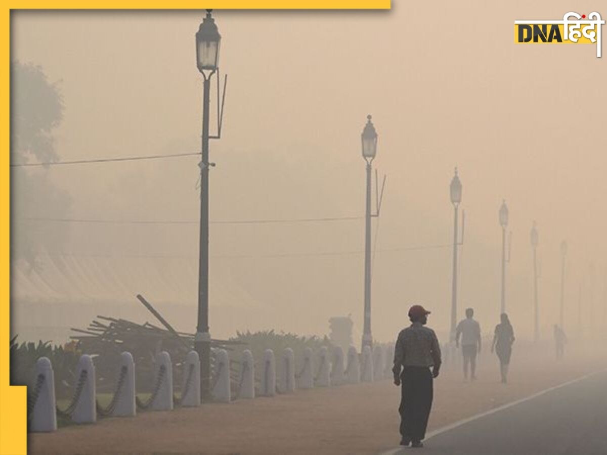 Morning Walk In Fog: सर्दियों में चारों तरफ छाई है धुंध, जानें ऐसे घने कोहरे में मॉर्निंग वॉक करना सही या गलत