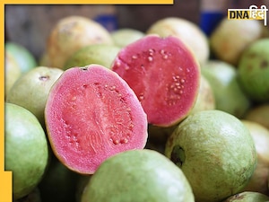बैड कोलेस्ट्रॉल से लेकर डायबिटीज तक को कंट्रोल करता है गुलाबी अमरूद, जानें डिटेल्स