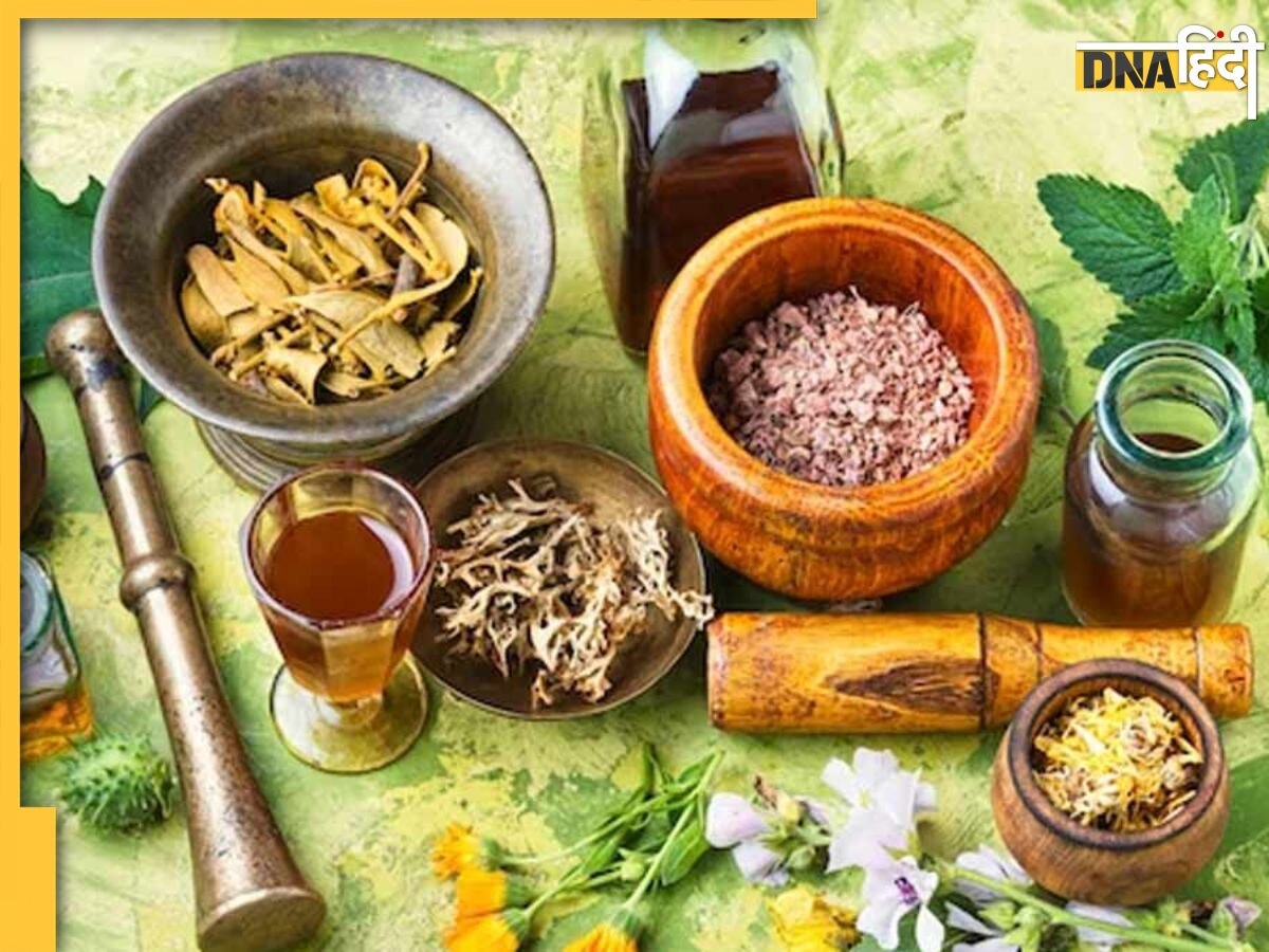 Ayurvedic Remedy: ये आयुर्वेदिक हर्ब्स हाड़ कपाने वाली ठंड में शरीर को अंदर से रखेंगी गर्म, सर्दी खांसी और बलगम की कर देंगी छुट्टी