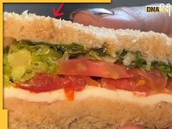 IndiGo की फ्लाइट में महिला को सैंडविच में मिला जिंदा कीड़ा, देखें Viral Video 