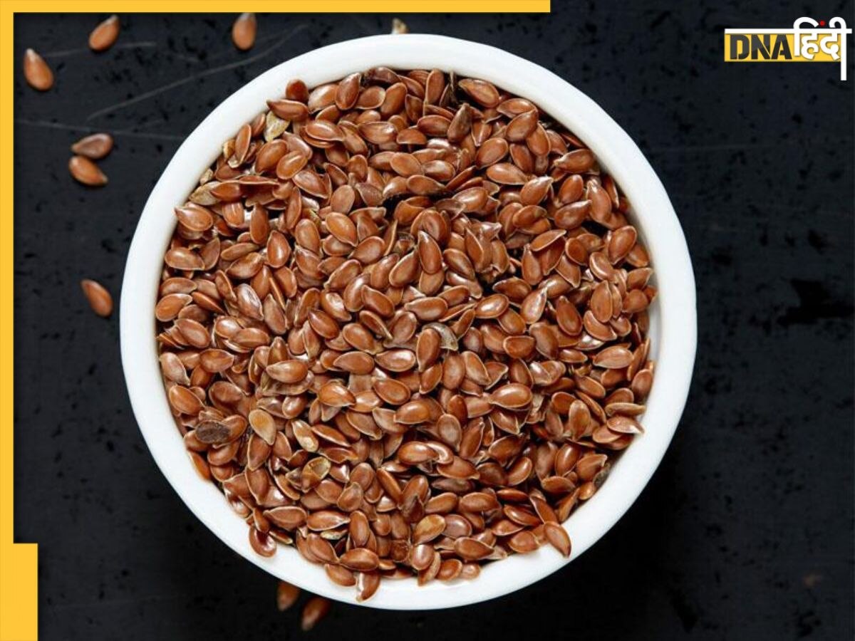 Roasted Flax Seeds: कोलेस्ट्रॉल, पेट की बीमारियों में दवा का काम करते हैं भुने हुए अलसी के बीज, डाइट में करें शामिल