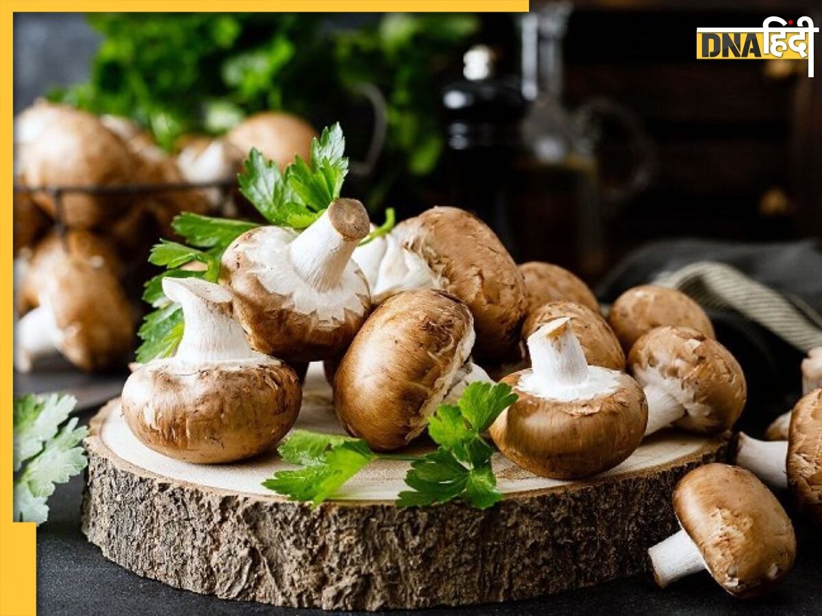 Mushroom Benefits: सर्दियोंं की डाइट में शामि��ल कर लें मशरूम, बीपी से लेकर डायबिटीज तक को करती है कंट्रोल, जानें और भी फायदे