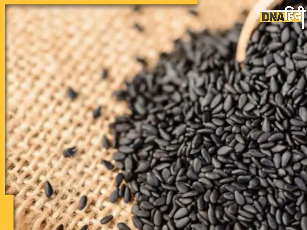 Black Sesame Benefits: ब्लड प्रेशर के लिए रामबाण साबित होते हैं काले तिल, सर्दियों में खाने से मिलते हैं ये 5 फायदे