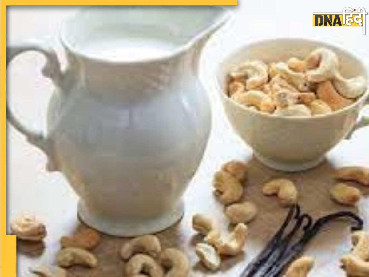 Cashew Milk Benefits: हड्डियों की बढ़ेगी ताकत और घटेगा कोलेस्ट्रॉल-शुगर, काजू वाला दूध पीना कर दें शुरू