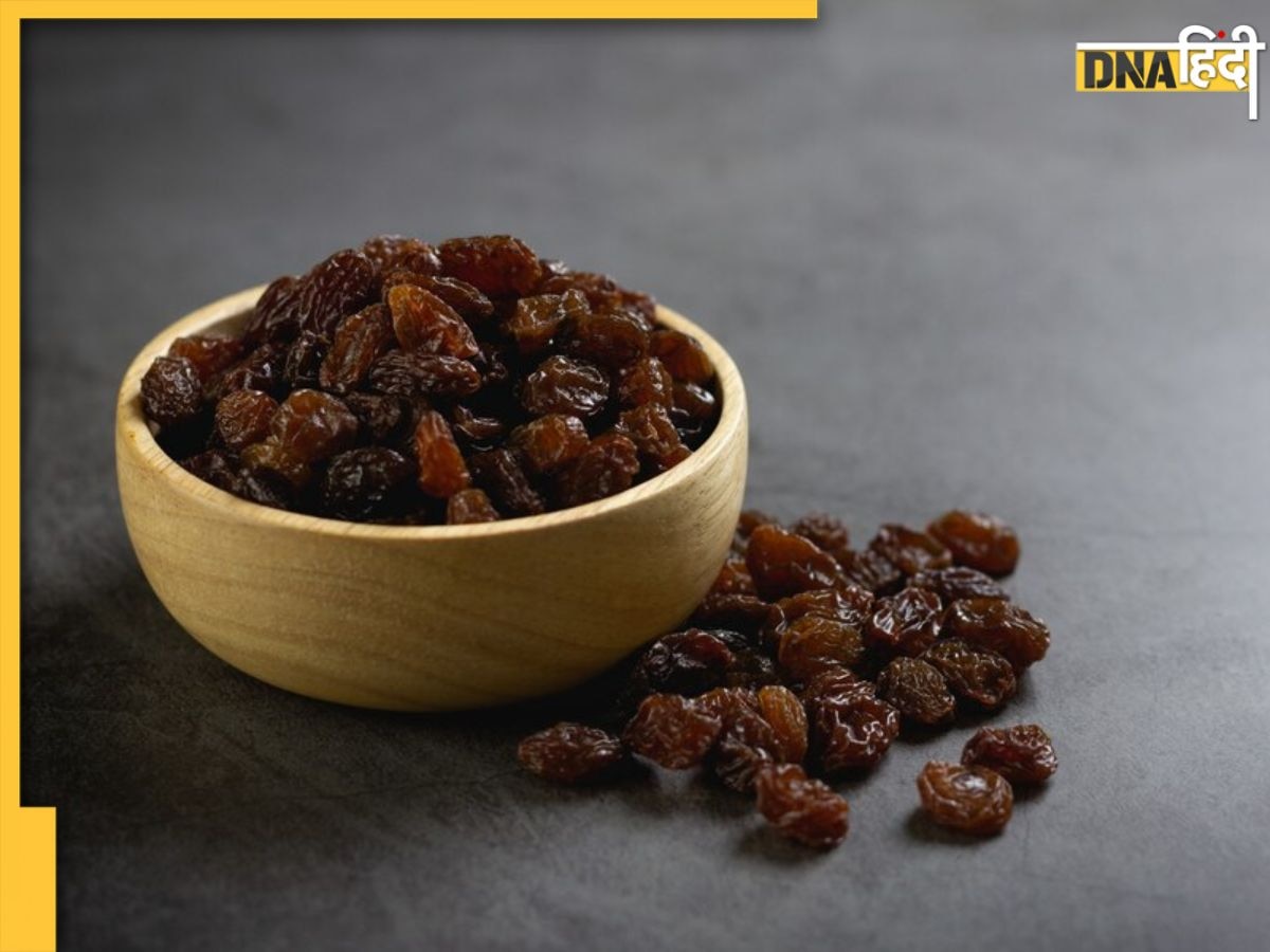 Black Raisins: महिलाओं के लिए वरदान हैं ये काले ड्राई फ्रूट्स, हार्मोनल इम्बैलेंस-एनीमिया में है फायदेमंद