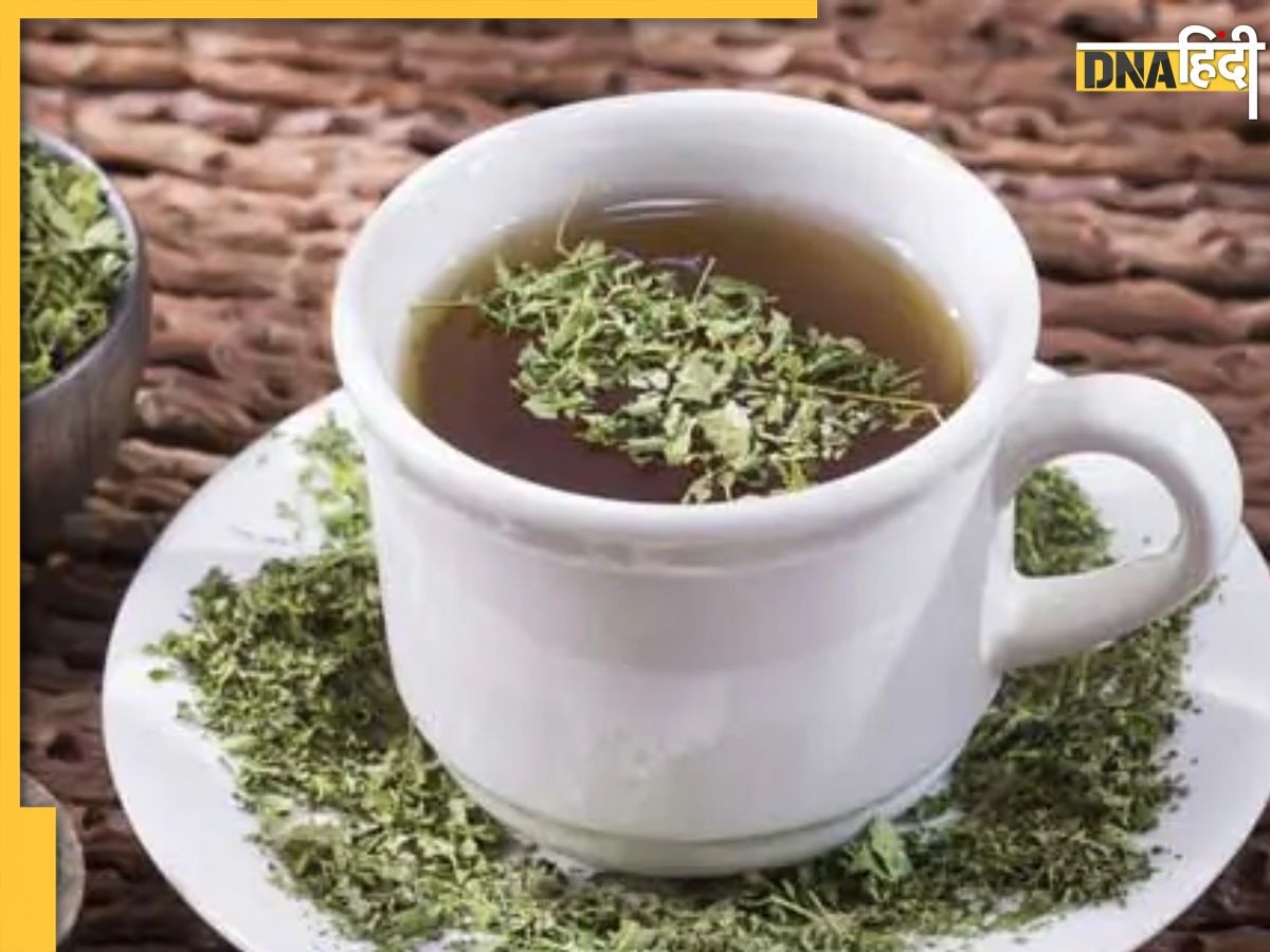 Moringa Tea: सुबह उठते ही पिए��ं इन पत्तों से बनी चाय, नेचुरली इंसुलिन कंट्रोल कर देगा शुगर, डायबिटीज का खतरा भी होगा खत्म