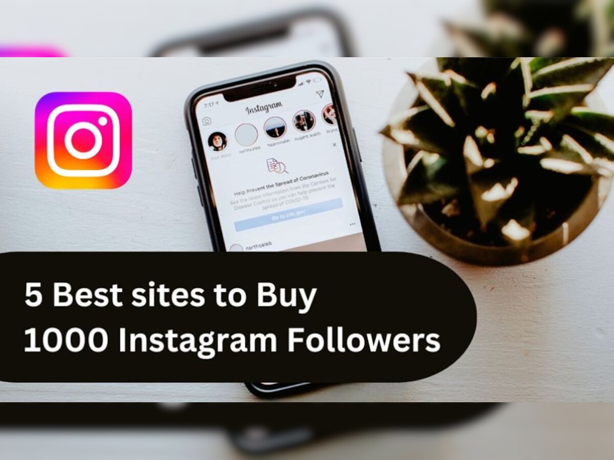 Buy 1000 Instagram Followers: Real & Cheap (20% Off Coupon)