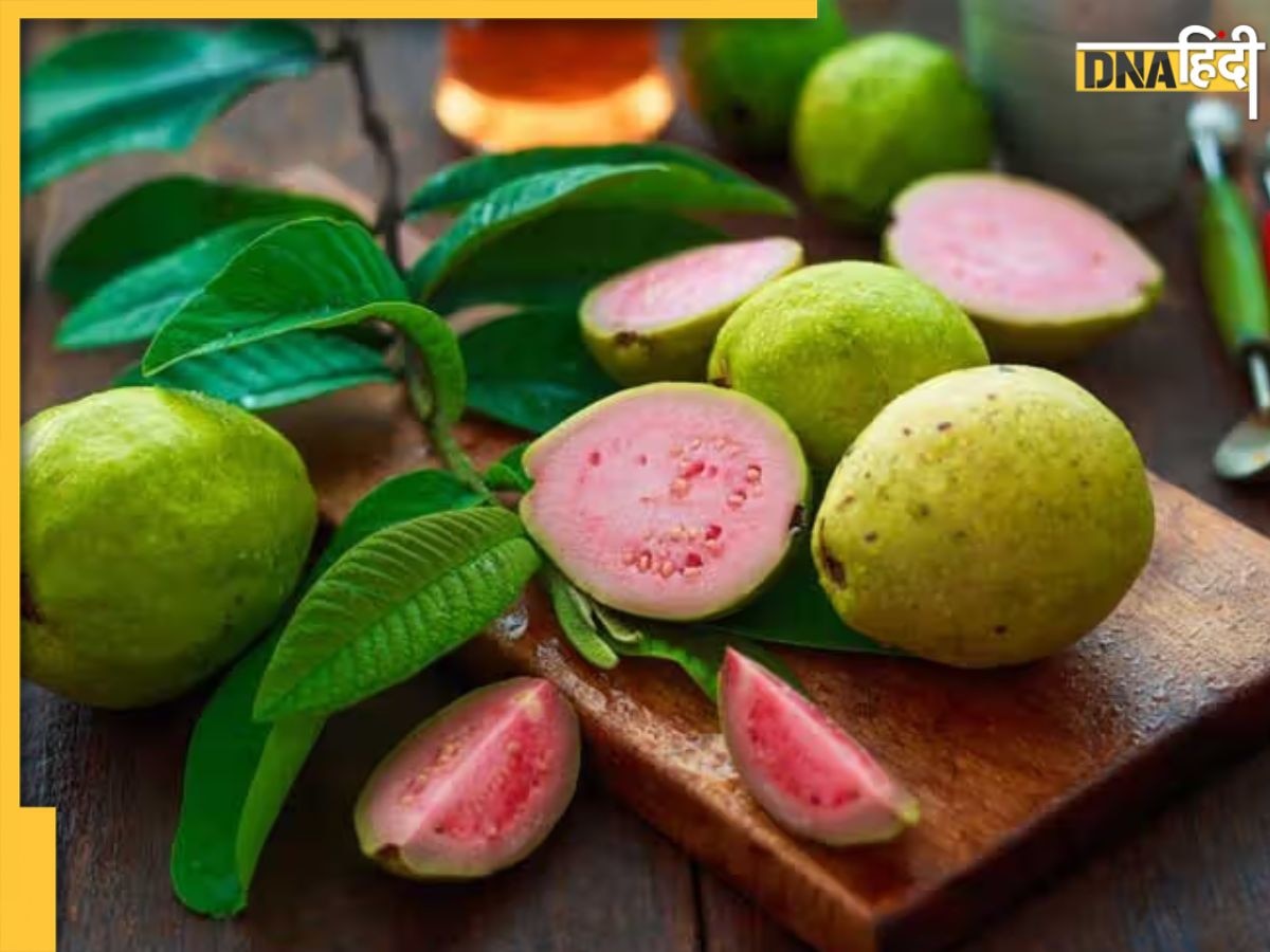 Guava Benefits: सर्दियों में अमरूद खाने के 5 बड़े फायदे, इम्यूनिटी से लेकर पाचन तक के लिए है फायदेमंद