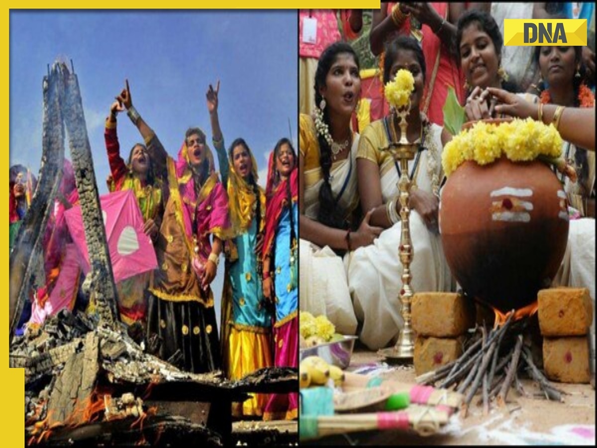 Happy Sankranti 2024: Wishes, greetings and messages for Pongal, Lohri