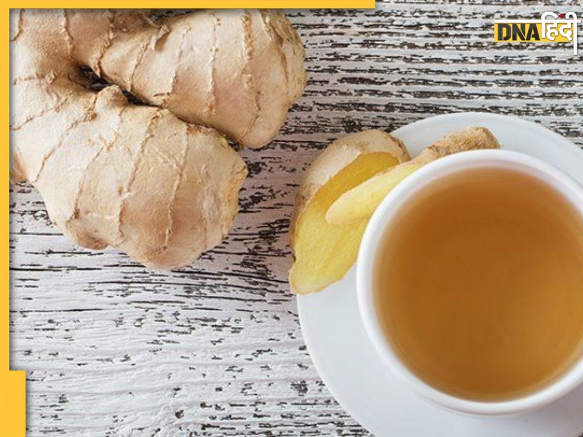 Ginger Tea Benefits: महंगी हर्बल टी की बजाय अदरक की इस चाय से करें दिन की शुरुआत, मिलेंगे 5 जबरदस्त फायदे