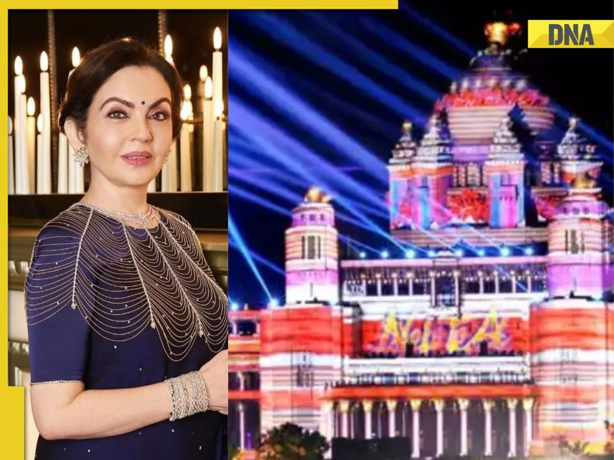 Special light show from Singapore, celebrity performance, lndia's most expensive birthday party cost Rs...