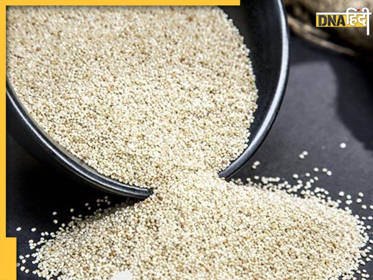 Poppy Seeds Benefits: स्किन डिजीज से कब्ज-ब्लड प्रेशर तक, इन समस्याओं का रामबाण इलाज है खसखस, ऐसे करें इस्तेमाल