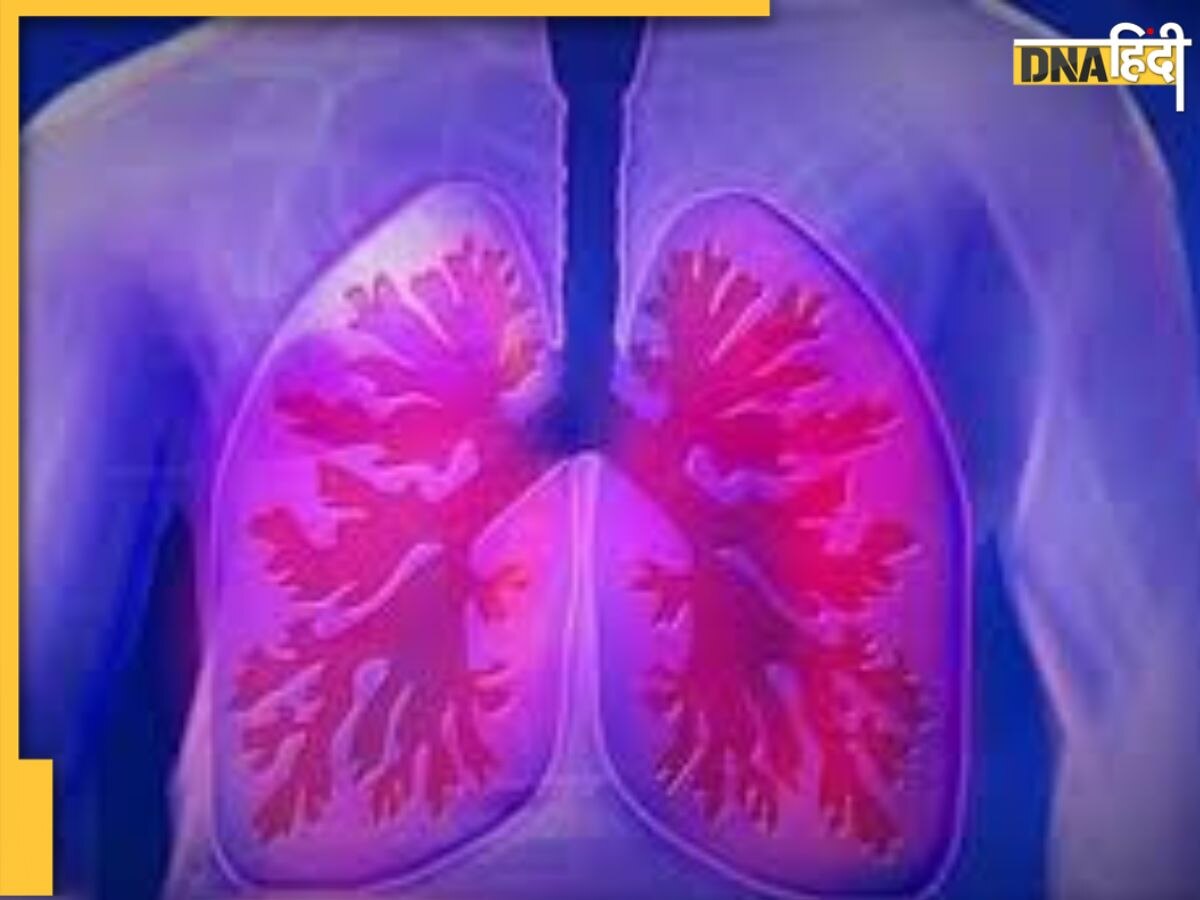 Detox Lungs: फेफड़ों को साफ करने के लिए घर पर करें ये अभ्यास, लग्स की ब�ढ़ जाएगी कार्य क्षमता