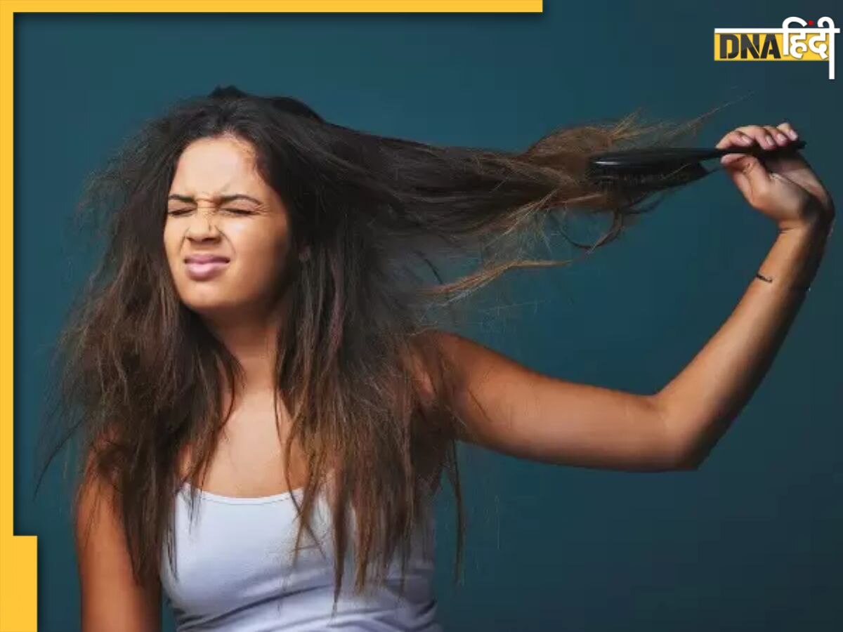 Remedies for Dry Hair: रूखे बेजान बालों में फिर से जान डाल देंगे ये 4 हेयर मास्क, वापस आएगी बालों की खोई चमक