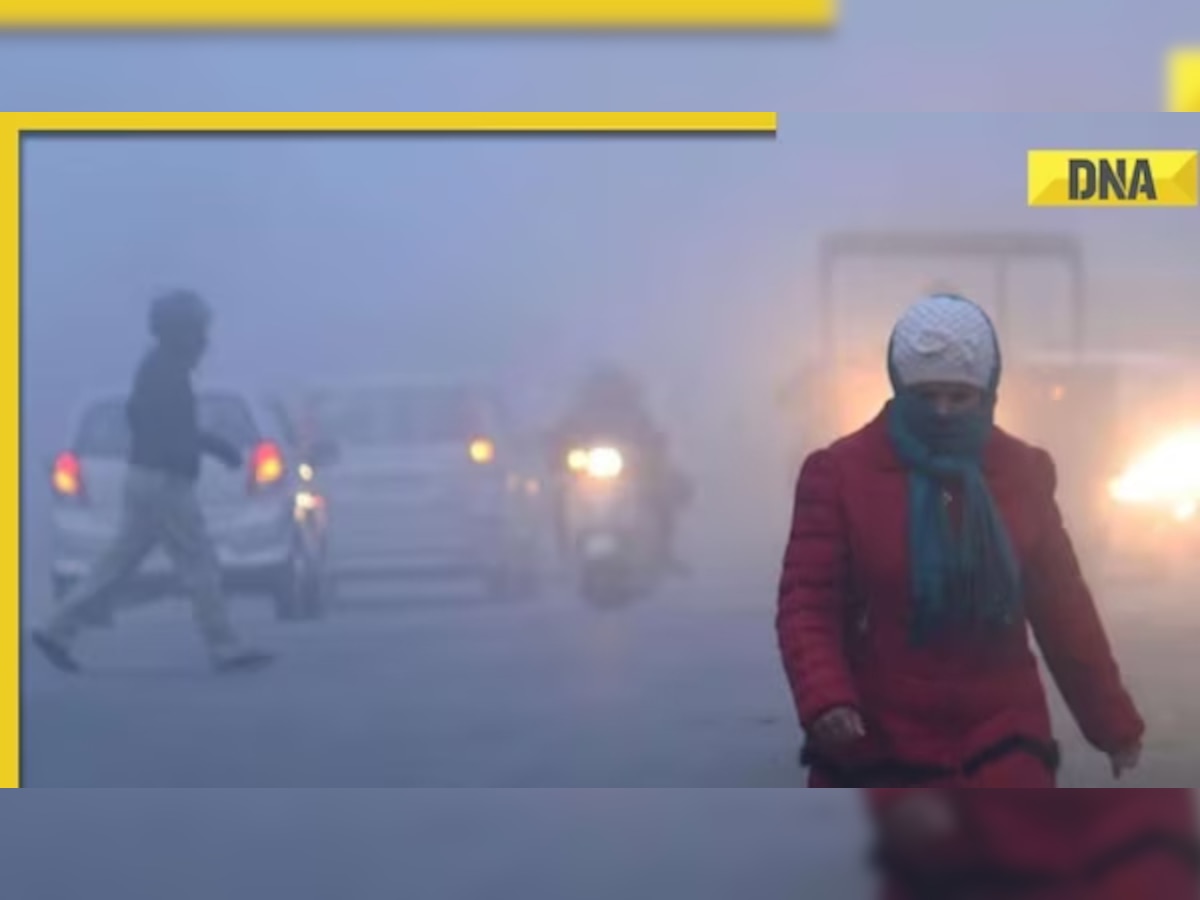 Weather update: Delhi-NCR receives light rainfall, cold wave, fog persist