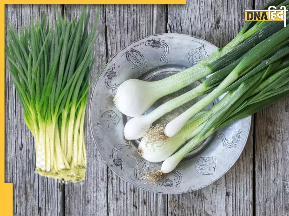 Garlic Leaves Benefits: इन बीमारियों में रामबाण औषधी का काम करती हैं लहसुन की पत्तियां, ऐसे करें इस्तेमाल