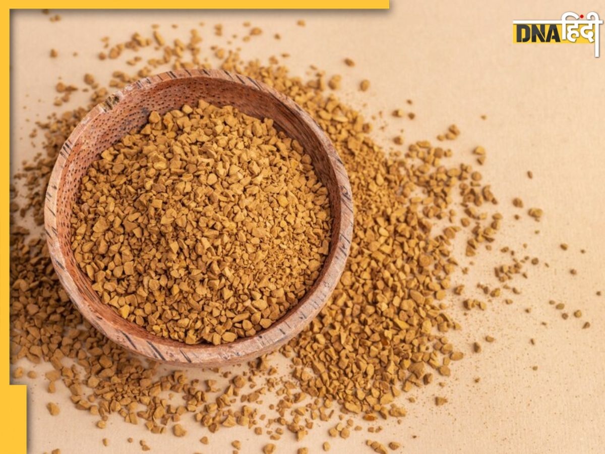 Fenugreek Seeds Benefits: ठंड में इन गंभीर बीमारियों से दूर रखेंगे मेथी के छोटे दाने, डायबिटीज भी रहेगा कंट्रोल