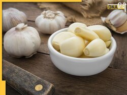 Garlic Benefits: खाने का स्वाद बढ़ाने के लिए ही नहीं, सेहत के लिए फायदेमंद है लहसुन, इस तरह खाने से मिलेंगे 5 फायदे