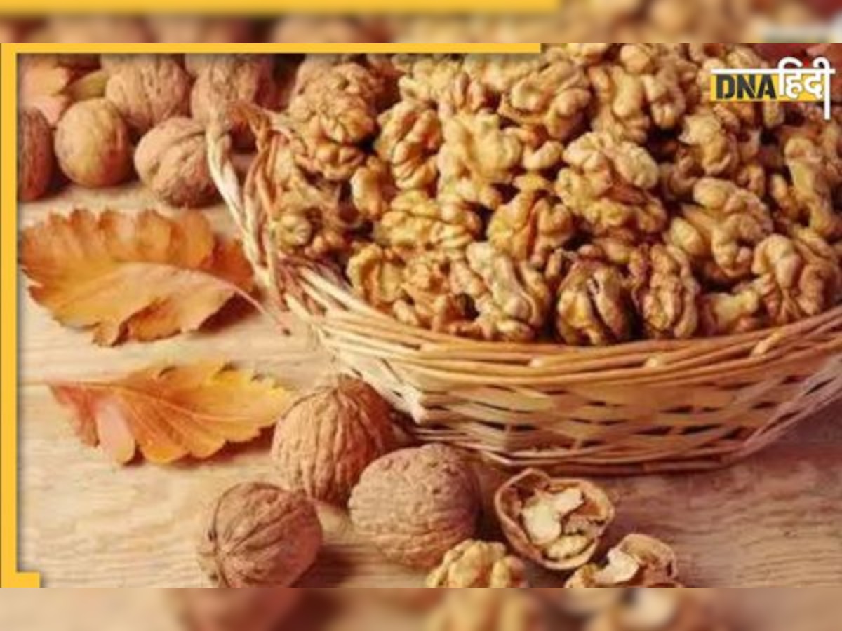 Superfood Walnuts: नाश्ते के लिए सबसे अच्छा सुपरफूड है अखरोट, जानिए रोजाना कितने अखरोट खाएं