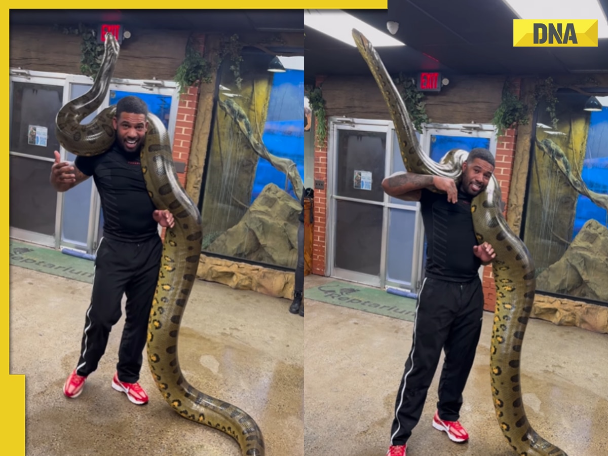 Viral video: Man carries world's 'heaviest' snake on his shoulder, internet is stunned