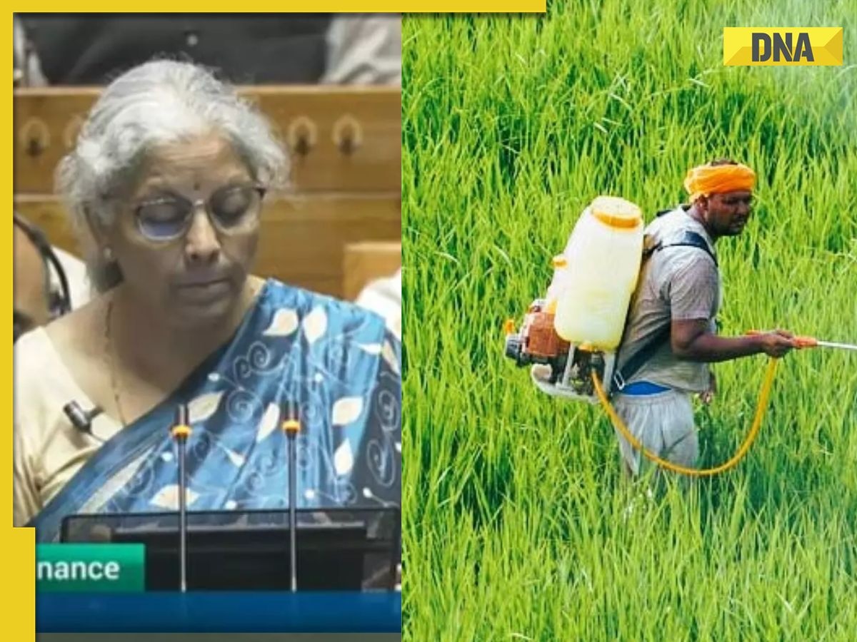 Budget 2024: What is nano DAP application to be expanded in agro-climatic zones