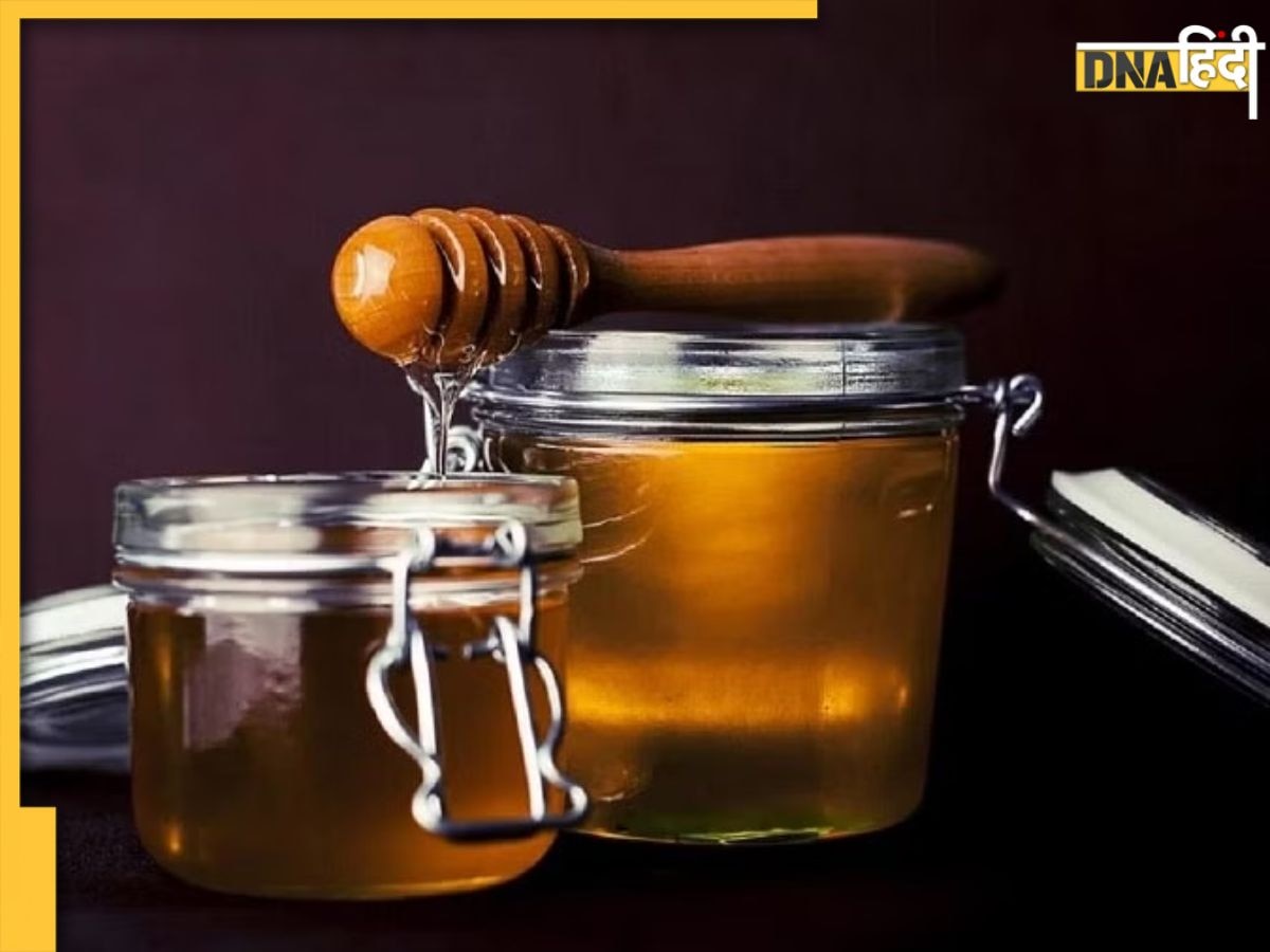 Honey Purity Test: असली है या नकली ऐसे करें शहद की शुद्धता की जांच, यहां देखें 4 आसान तरीके