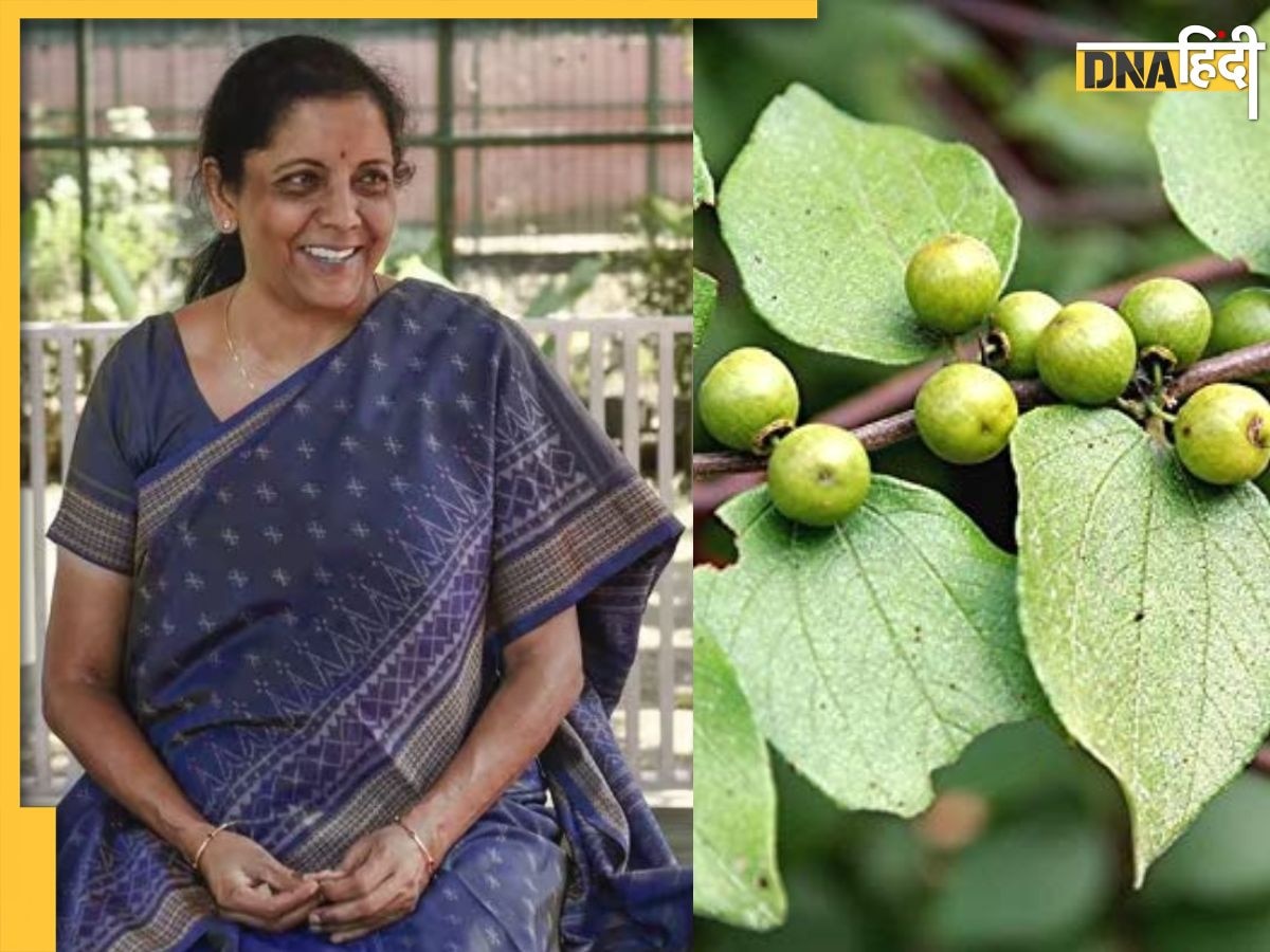 वित्त मंत्री Nirmala Sitharaman को पसंद है ये जंगली बेर, फायदे जानकर आप भी खाना कर देंगे शुरू