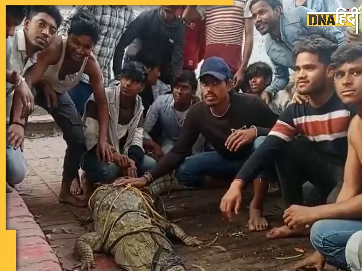 नदी से बाहर लाकर मगरमच्छ की पूजा करते हुए सेल्फी लेने लगे लोग, देखें Video 