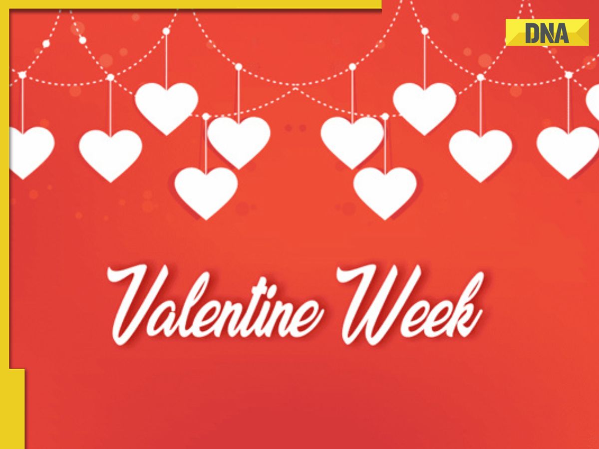 Valentine s Week Full List 2024 Rose Day to propose day all you