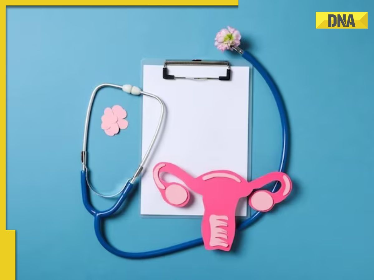 World Cancer Day 2024 All You Need To Know About The Types Of Cervical World cancer day 2024 all you need to know about the types of cervical