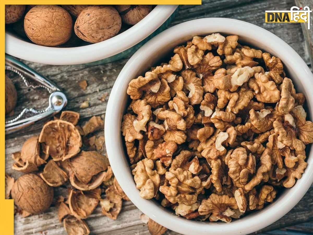 Soaked Walnuts Benefits: दिल और दिमाग के लिए फायदेमंद हैं भीगे हुए अखरोट, खाने से मिलते और भी कई फायदे