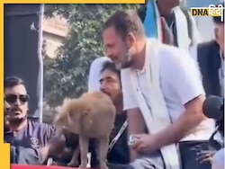 इंसान को क्यों दिया कुत्ते वाला बिस्किट? अब राहुल गांधी ने खुद बताई पूरी बात