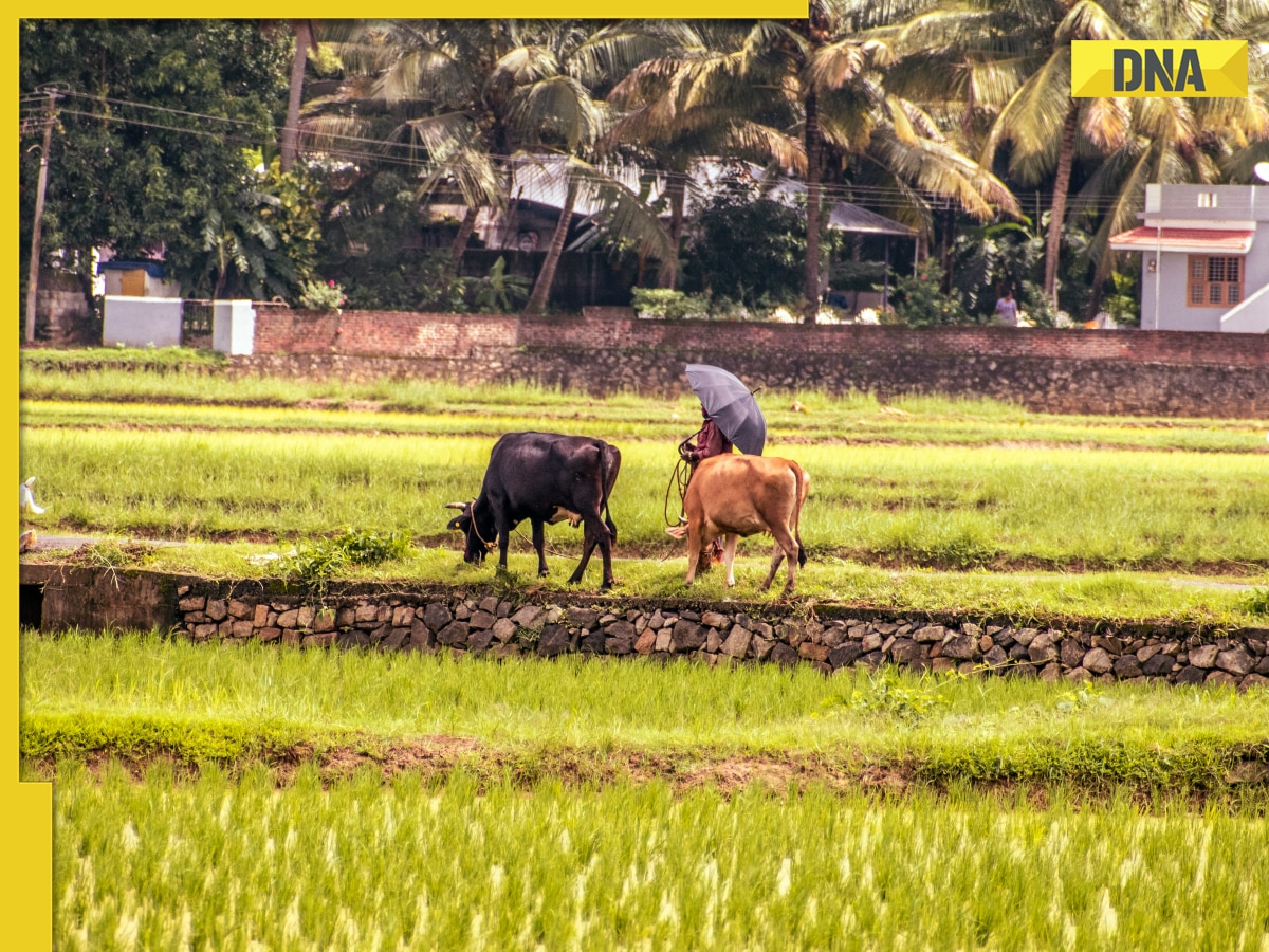 Meet owner of over 17 crore acres of land, owns land in every state of India, total value is Rs...