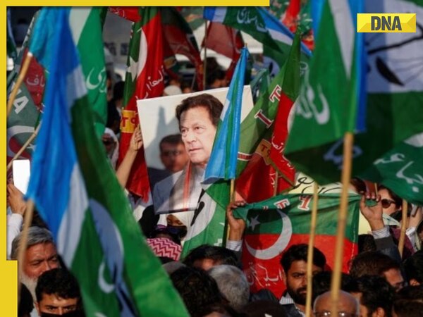 Pakistan Election Results Live Updates Imran Khan Backed Independents