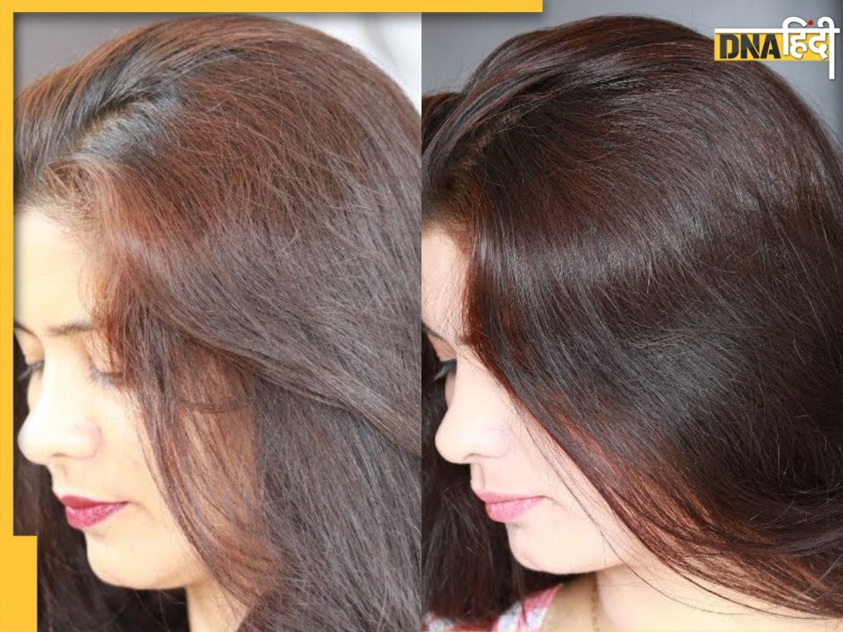 Natural Hair Color: सफेद बाल घंटे भर में हमेशा के लिए होंगे काले, बस इन 2 हरी पत्तियों का पेस्ट लगा लें