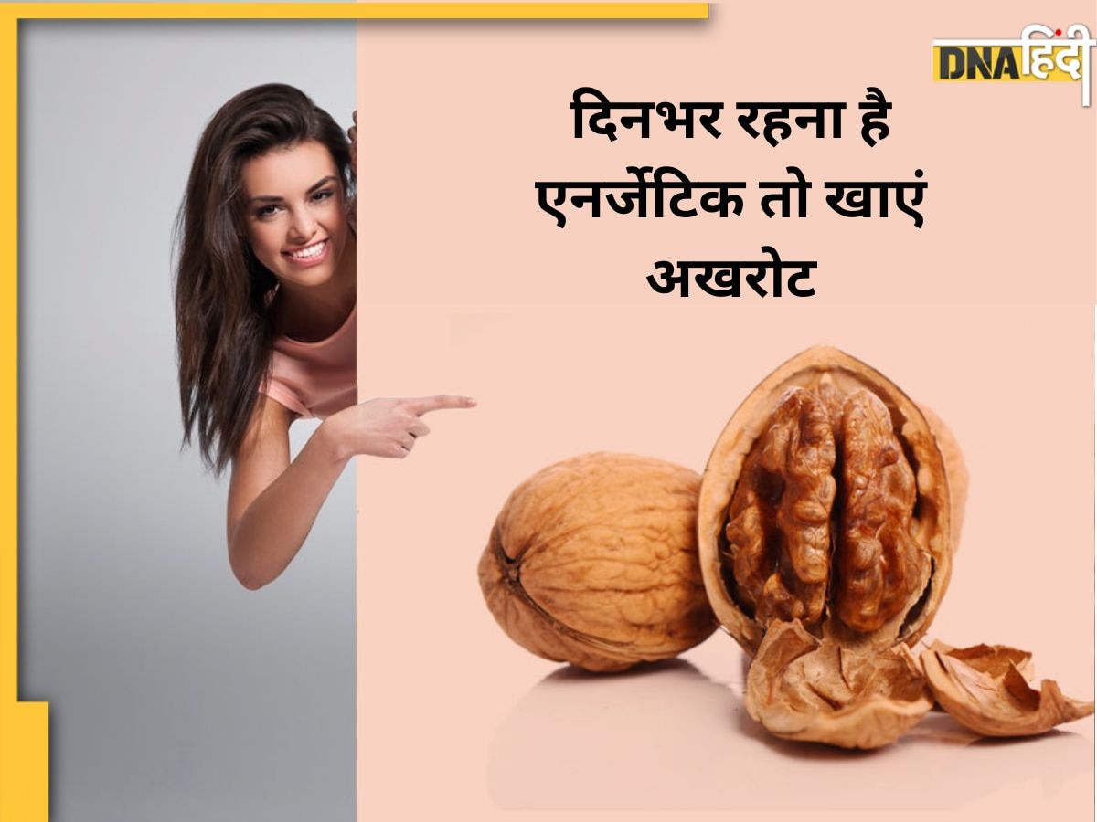 Best Dry Fruits For Energy: दिनभर रहना है एनर्जेटिक और खुश तो रोज सुबह खाना शुरू कर दें ये 4 ड्राई फ्रूट्स