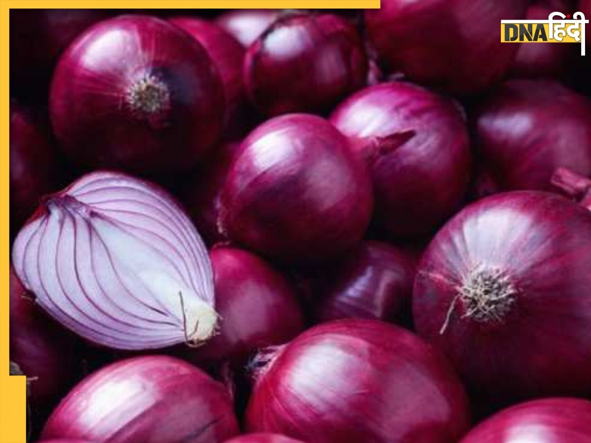 Onion Price Hike: लहसुन के बाद अब प्याज भी रुलाने को तैयार, जानिए क्यों बढ़ेंगे दाम 