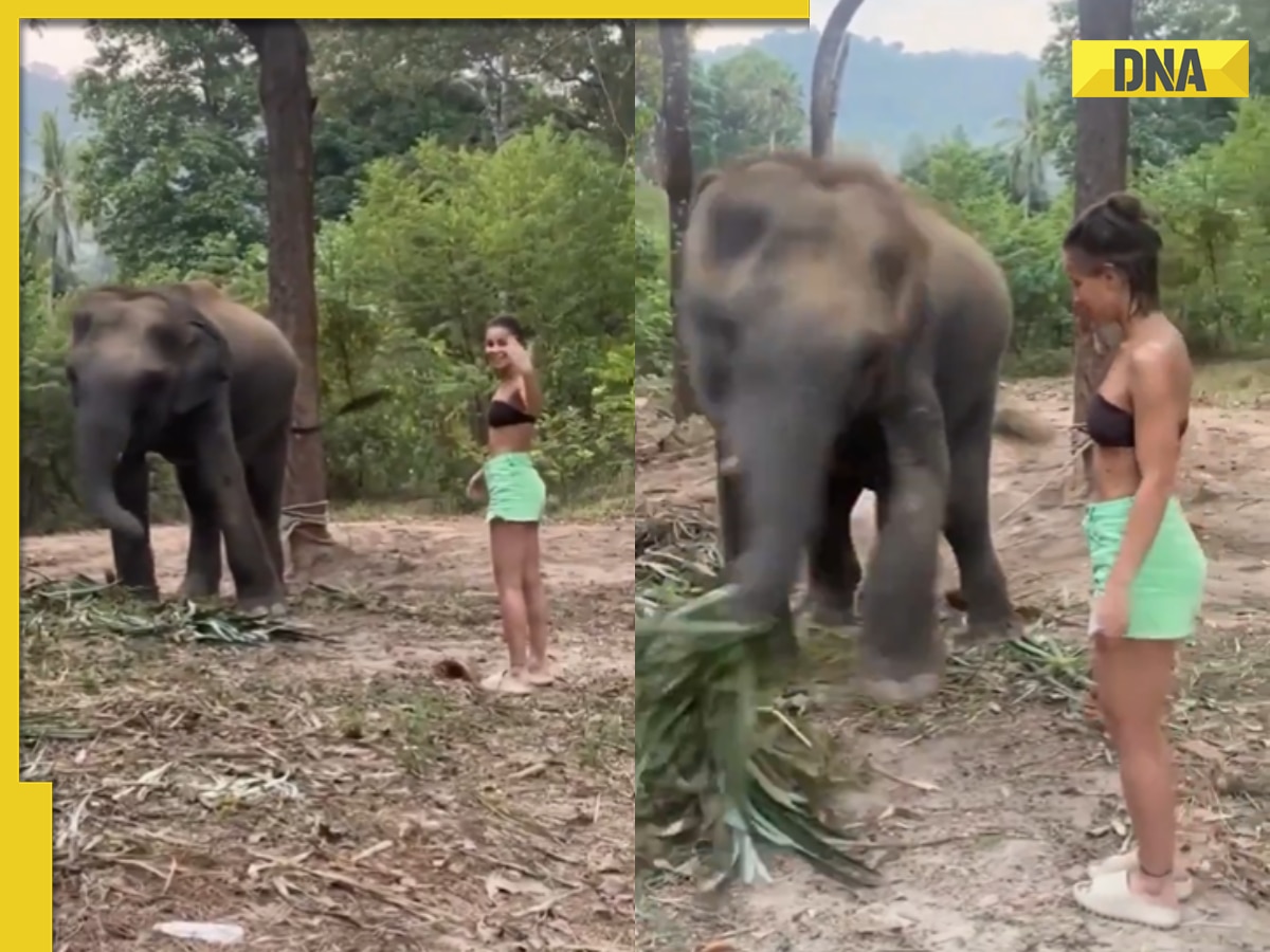 Viral video: Woman's attempt to befriend elephant ends in terrifying attack, watch