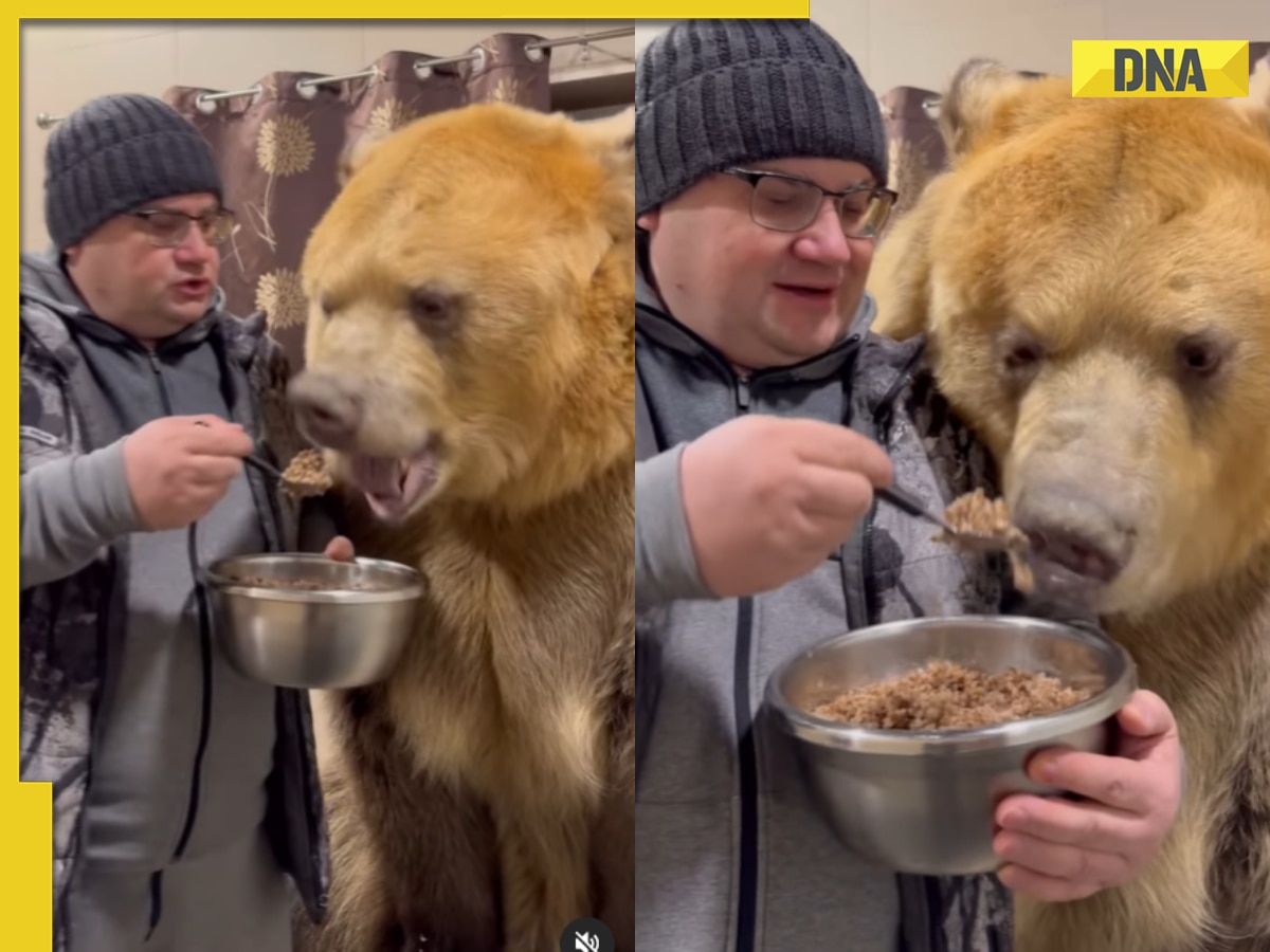Man feeds bear with bare hands in viral video, internet is shocked