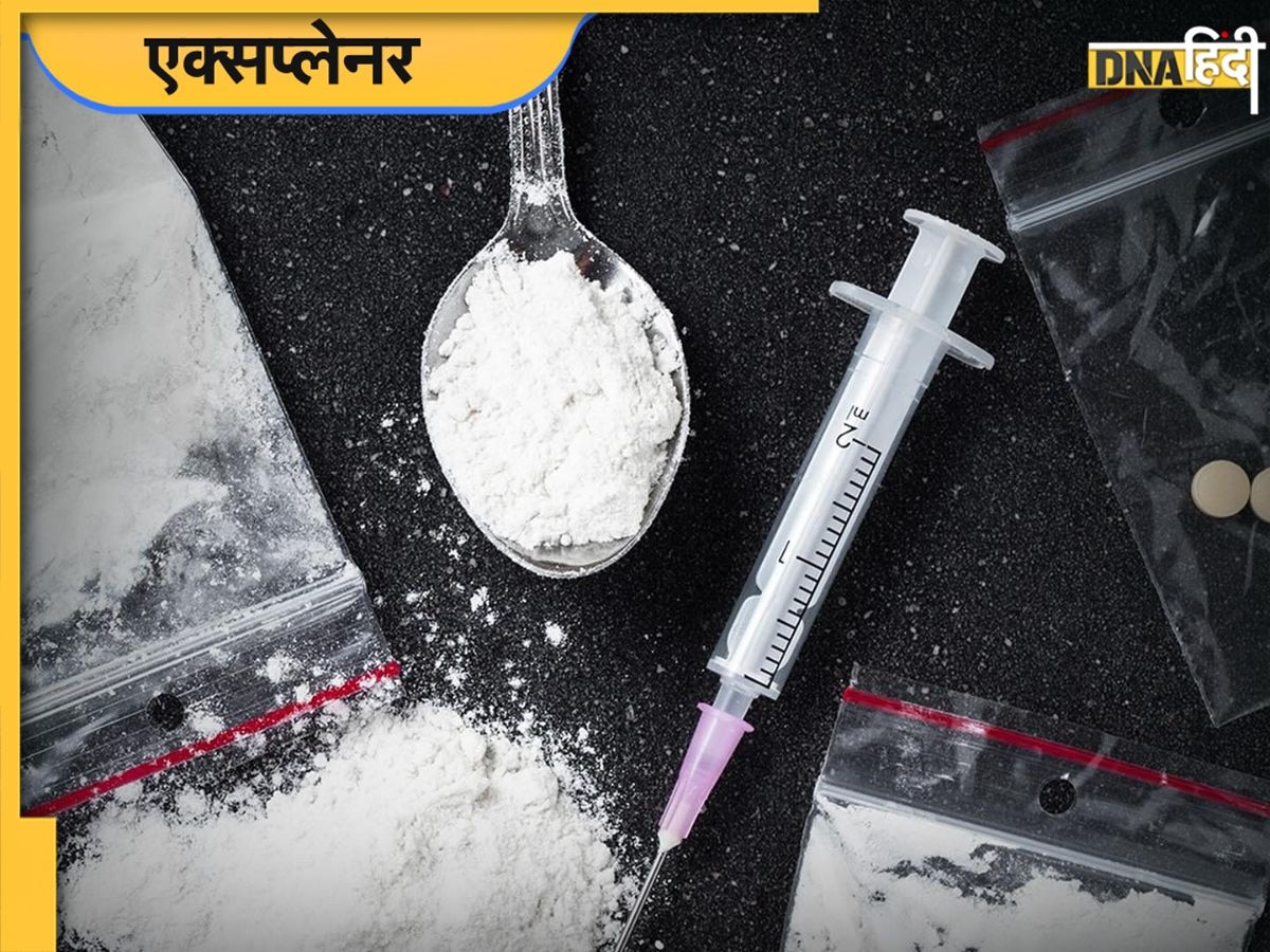 Meow Meow Drugs क्या है, पौधों की खाद से कैसे बन गई दुनिया की स�बसे खतरनाक ड्रग्स, पढ़ें पूरी बात