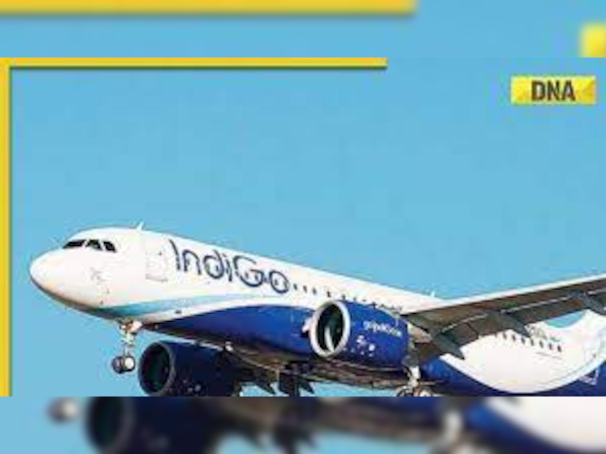 Viral Video: IndiGo passenger finds cockroaches in flight’s food area, airline responds  