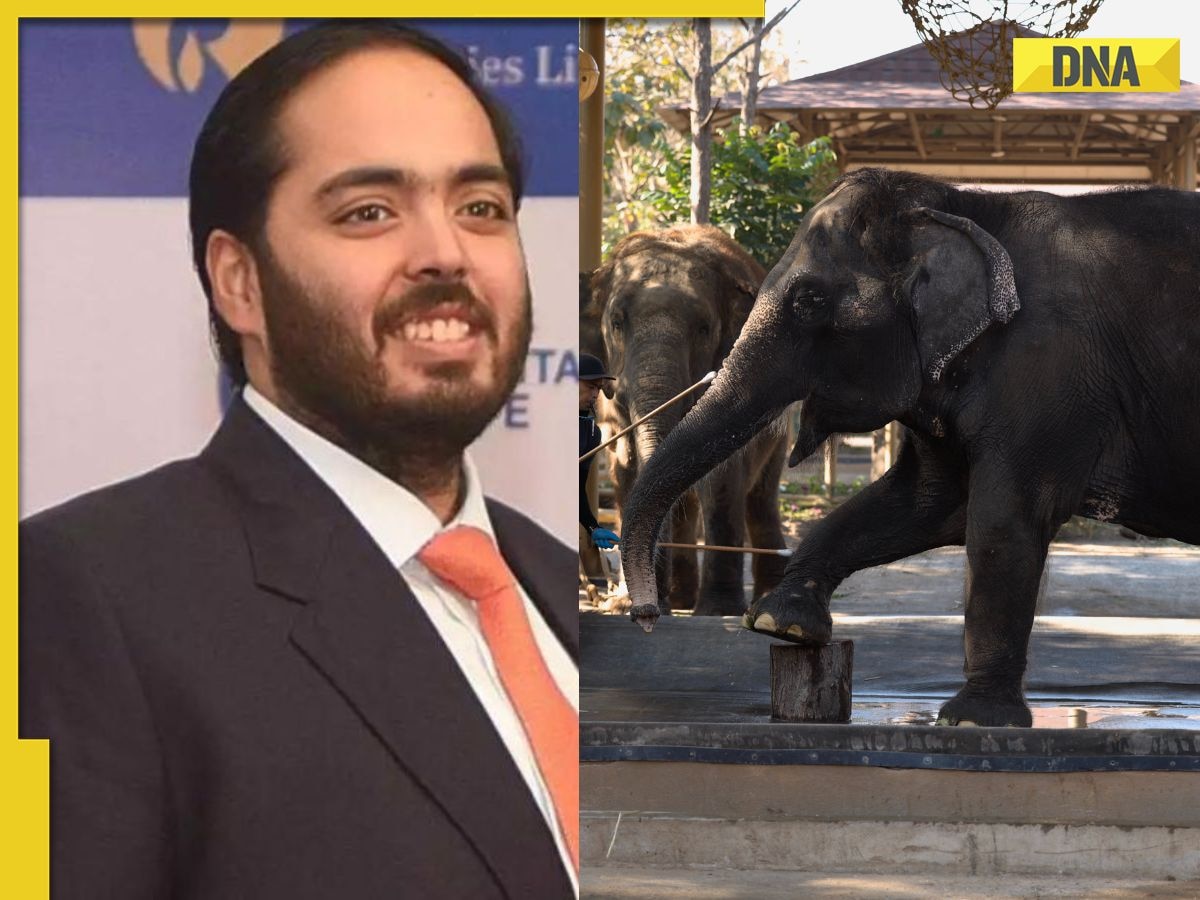 Anant Ambani’s Vantara programme: Over 200 elephants, 1000 crocodiles, 3000 acres of land and more